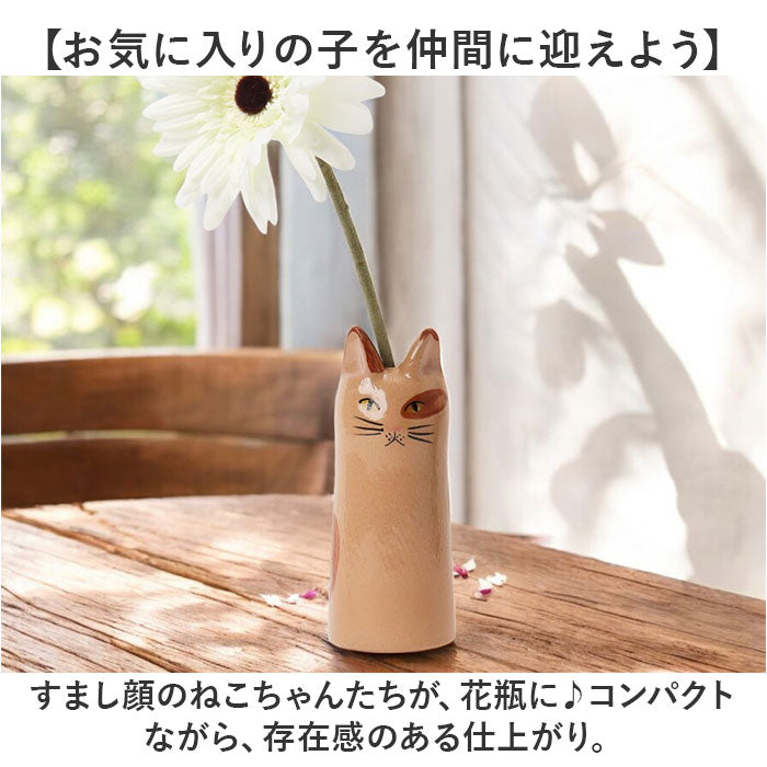 kscatfb_2_2048x.jpg?v=1741830378
