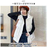 ハイネック レディース 薄手 通販 カットソー Tシャツ 秋冬 秋 冬 春秋 春 薄い 長袖 フリル 襟 フリル袖 スタンドカラー 立ち襟 おしゃれ シンプル きれいめ 上品 大人 かわいい