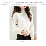 ハイネック ニット 秋冬 レディース 通販 セーター ハーフタートルネック 薄手 秋 冬 薄い 長袖 プリーツ 袖 パフスリーブ ボリュームスリーブ 袖コンシャス おしゃれ シンプル 大人