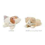 ぬいぐるみ マスコット 通販 手のひらサイズ 小さい ビーズ ビーズクッション ミニサイズ ぬい撮り ぬいどり 子供 子ども キッズ 癒し 動物 アニマル リストレスト 小学生 ふわふわ 猫 犬