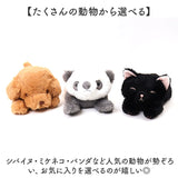 ぬいぐるみ マスコット 通販 手のひらサイズ 小さい ビーズ ビーズクッション ミニサイズ ぬい撮り ぬいどり 子供 子ども キッズ 癒し 動物 アニマル リストレスト 小学生 ふわふわ 猫 犬
