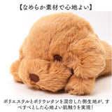 ぬいぐるみ マスコット 通販 手のひらサイズ 小さい ビーズ ビーズクッション ミニサイズ ぬい撮り ぬいどり 子供 子ども キッズ 癒し 動物 アニマル リストレスト 小学生 ふわふわ 猫 犬