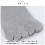 5本指ソックス キッズ ボーダー 3足セット 通販 3足組 3足 ソックス 5本指 靴下 クルー丈 ショート くつ下 子供用 子供 子ども こども 綿 暖かい あったか 保温 吸汗 キッズ ジュニア