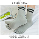 5本指ソックス キッズ ボーダー 3足セット 通販 3足組 3足 ソックス 5本指 靴下 クルー丈 ショート くつ下 子供用 子供 子ども こども 綿 暖かい あったか 保温 吸汗 キッズ ジュニア