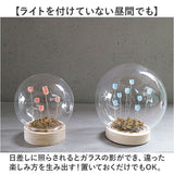 ガラスドーム フラワー 通販 チューリップ ガラスボールS LED ガラス ドーム お花 オブジェ 置き物 置物 おしゃれ かわいい オシャレ 可愛い LUMO ルーモ LEDイルミネーション