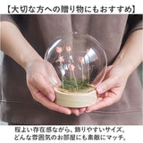 ガラスドーム フラワー 通販 チューリップ ガラスボールS LED ガラス ドーム お花 オブジェ 置き物 置物 おしゃれ かわいい オシャレ 可愛い LUMO ルーモ LEDイルミネーション