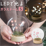 ガラスドーム フラワー 通販 チューリップ ガラスボールS LED ガラス ドーム お花 オブジェ 置き物 置物 おしゃれ かわいい オシャレ 可愛い LUMO ルーモ LEDイルミネーション