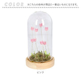 ガラスドーム フラワー 通販 チューリップ ガラスドームL LED ガラス ドーム お花 オブジェ 置き物 置物 おしゃれ かわいい オシャレ 可愛い LUMO ルーモ LEDイルミネーション