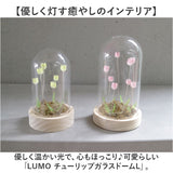 ガラスドーム フラワー 通販 チューリップ ガラスドームL LED ガラス ドーム お花 オブジェ 置き物 置物 おしゃれ かわいい オシャレ 可愛い LUMO ルーモ LEDイルミネーション