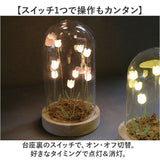 ガラスドーム フラワー 通販 チューリップ ガラスドームL LED ガラス ドーム お花 オブジェ 置き物 置物 おしゃれ かわいい オシャレ 可愛い LUMO ルーモ LEDイルミネーション
