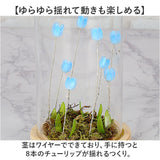 ガラスドーム フラワー 通販 チューリップ ガラスドームL LED ガラス ドーム お花 オブジェ 置き物 置物 おしゃれ かわいい オシャレ 可愛い LUMO ルーモ LEDイルミネーション