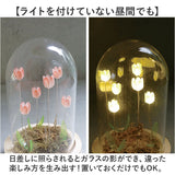 ガラスドーム フラワー 通販 チューリップ ガラスドームL LED ガラス ドーム お花 オブジェ 置き物 置物 おしゃれ かわいい オシャレ 可愛い LUMO ルーモ LEDイルミネーション
