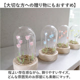 ガラスドーム フラワー 通販 チューリップ ガラスドームL LED ガラス ドーム お花 オブジェ 置き物 置物 おしゃれ かわいい オシャレ 可愛い LUMO ルーモ LEDイルミネーション