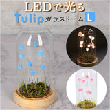 ガラスドーム フラワー 通販 チューリップ ガラスドームL LED ガラス ドーム お花 オブジェ 置き物 置物 おしゃれ かわいい オシャレ 可愛い LUMO ルーモ LEDイルミネーション