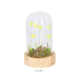 ガラスドーム フラワー 通販 チューリップ ガラスドームS LED ガラス ドーム お花 オブジェ 置き物 置物 おしゃれ かわいい オシャレ 可愛い LUMO ルーモ LEDイルミネーション