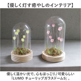 ガラスドーム フラワー 通販 チューリップ ガラスドームS LED ガラス ドーム お花 オブジェ 置き物 置物 おしゃれ かわいい オシャレ 可愛い LUMO ルーモ LEDイルミネーション