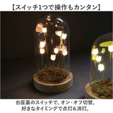 ガラスドーム フラワー 通販 チューリップ ガラスドームS LED ガラス ドーム お花 オブジェ 置き物 置物 おしゃれ かわいい オシャレ 可愛い LUMO ルーモ LEDイルミネーション