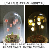 ガラスドーム フラワー 通販 チューリップ ガラスドームS LED ガラス ドーム お花 オブジェ 置き物 置物 おしゃれ かわいい オシャレ 可愛い LUMO ルーモ LEDイルミネーション
