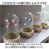 ガラスドーム フラワー 通販 チューリップ ガラスドームS LED ガラス ドーム お花 オブジェ 置き物 置物 おしゃれ かわいい オシャレ 可愛い LUMO ルーモ LEDイルミネーション