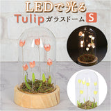 ガラスドーム フラワー 通販 チューリップ ガラスドームS LED ガラス ドーム お花 オブジェ 置き物 置物 おしゃれ かわいい オシャレ 可愛い LUMO ルーモ LEDイルミネーション
