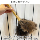 はたき おしゃれ 通販 ほこり取り ダチョウ 埃取り 車 毛ばたき 車用 ハンディモップ ホコリとり ホコリ取り ほこりとり 掃除用品 掃除グッズ 掃除道具 生活用品 ダスターモップ かわいい