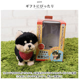 まねまねトコトコ ぬいぐるみ おしゃぺり 通販 まねまね トコトコ まねまねぬいぐるみ 歩いてまねまね 歩いてモノマネ おもちゃ ものまね モノマネ 人形 歩く しゃべる 動く かわいい