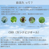 下地クリーム 通販 MARIELAN マリエラン 化粧下地 メイク下地 UV下地 ベースメイク UV下地クリーム スキンケア 保湿 ウォータープルーフ 紫外線対策 ノンケミカル メイクアップ 化粧品
