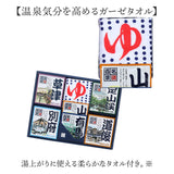 名湯百景 入浴剤 通販 詰め合わせ ギフト 薬用入浴剤 温泉の素 セット 入浴剤セット プレゼント 温泉 五洲薬品 お風呂グッズ バスグッズ バス用品 リラクゼーション お歳暮 敬老の日