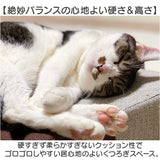 爪とぎ 猫 ベッド 通販 ベッド型 クッション ガリボロスター 明和グラビア GBS-01 猫つめとぎ オシャレ 爪とぎクッション ネコ爪研ぎ 猫爪研ぎ つめとぎ ストレス解消 w51×h10