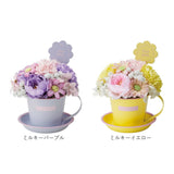 ソープフラワー マグカップ付き 通販 フラワーギフト シャボンフラワー 花 フラワー お花 アレンジメント ソープ アレンジ かわいい 可愛い ギフト 贈り物 マグカップ マグ カップ