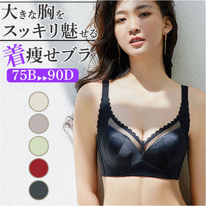ブラジャー 大きいサイズ 通販 ブラ インナー 補正下着 下着 レース 薄い 通気性 大きな胸 小さく見える セクシー 快適 軽量 おしゃれ かわいい レディース
