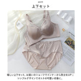 ブラジャー ショーツ セット 大きいサイズ 通販 ブラ パンティー インナー 下着 レース 薄い 通気性 大きな胸 小さく見える セクシー 快適 軽量 おしゃれ かわいい レディース