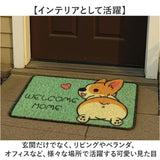 玄関マット 60×40cm アニマル 通販 玄関 マット ドアマット エントランスマット 泥除け 泥落とし ウエルカム welcome エントランス ずれにくい かわいい 可愛い 柄 動物 室内 屋外 外用