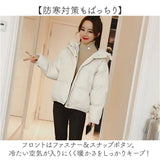 中綿 コート 長袖 レディース フード付き 通販 ジャケット 中綿コート 綿入れコート ショートコート 防寒コート 上着 羽織 羽織り 軽量 軽い 暖かい 暖か あたたか 綿入れ ショート