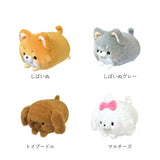 ぬいぐるみ もちもち 通販 もちふわ 手乗り てのり 小さい 手のひら 猫 ネコ ねこ 犬 いぬ イヌ 動物 きもちいい みけねこ とらねこ 黒猫 ころころにゃんこ こども 子供 子ども かわいい