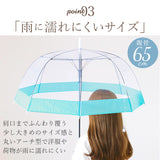 ビニール傘 丈夫 通販 プラスチック傘 プラスチック 65cm バードケージ 傘 ドーム型 長傘 グラスファイバー 雨傘 雨具 透明 クリア 雨 レイングッズ ブランド Amusant sous la pluie