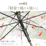 ビニール傘 丈夫 通販 プラスチック傘 プラスチック 65cm バードケージ 傘 ドーム型 長傘 グラスファイバー 雨傘 雨具 透明 クリア 雨 レイングッズ ブランド Amusant sous la pluie