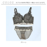 ブラジャー ショーツ セット 通販 ノンワイヤー ブラ ショーツセット ブラショーツ 上下セット ノンワイヤーブラ レディースインナー レース 婦人下着 ランジェリー 背中ホック
