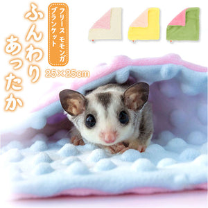 ペット ブランケット 通販 ミニ毛布 ミニブランケット フクロモモンガ ハムスター ペット用 寝袋 持ち運び 外出 引っ掛かり防止 肌に優しい あたたかい 暖かい かわいい おしゃれ 小動物