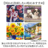 ダイヤモンドアート キット 通販 ダイアモンドアート 犬 イヌ キットセット ダイヤモンドペインティング ツールセット ダイヤモンド絵画 ビーズアート ツール ビーズ おしゃれ 可愛い