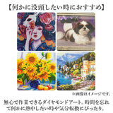 ダイヤモンドアート キット 通販 ダイアモンドアート 月 猫 キットセット ダイヤモンド絵画 ツールセット ダイヤモンドペインティング ビーズアート ツール ビーズ おしゃれ 可愛い