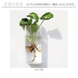 壁掛け 花瓶 通販 一輪挿し フラワーベース ガラス 花びん 花器 小さい コンパクト フック付き 倒れない 涼しげ 透明 クリア 壁飾り ウォールデコ リビング インテリア 水耕栽培 おしゃれ