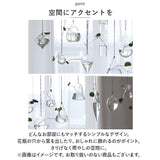 吊り下げ 花瓶 通販 一輪挿し フラワーベース ガラス 花びん 花器 壁掛け ハンギング コンパクト 小さめ 透明 クリア 涼しげ 天井 窓 リビング インテリア 水耕栽培 生花 造花 おしゃれ
