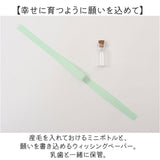 乳歯ケース プラスチック 通販 乳歯入れ 乳歯入れケース 乳歯 保管ケース 入れ物 ケース 歯 保管 木製 子供 女の子 男の子 木製ケース スタンド かわいい おしゃれ 産毛ケース