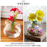 花瓶 一輪挿し ガラス 通販 フラワーベース かびん 花器 ねこ 猫 ネコ 猫型 かわいい おしゃれ 涼しげ クリア 猫雑貨 ねこ雑貨 ネコ雑貨 シンプル リビング ダイニング 寝室 玄関