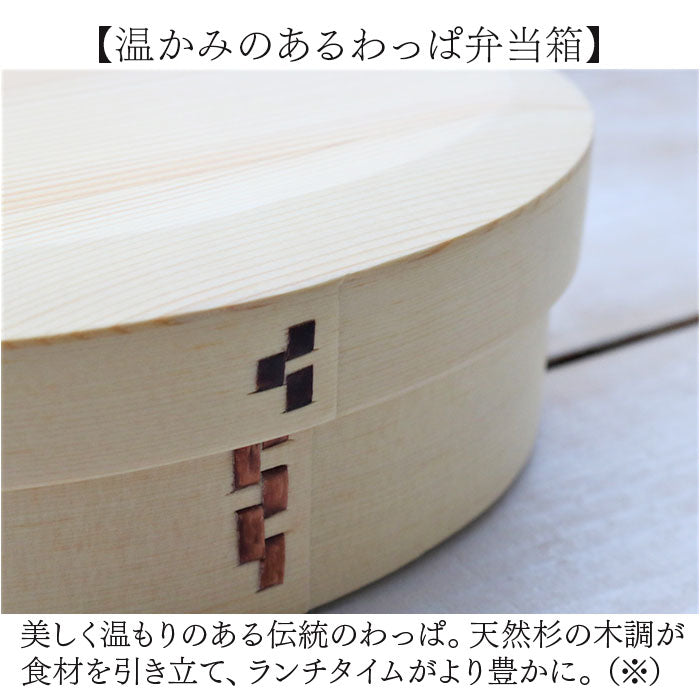 わっぱ弁当箱 700ml 通販 曲げわっぱ弁当箱 まげわっぱ 弁当箱 1段 一段 大きめ お弁当箱 ランチボックス 曲げわっぱ 仕切り付き レディース メンズ 大人 女子 男子 天然木製 木