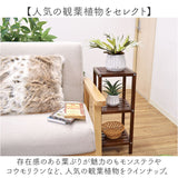 光触媒 人工観葉植物 通販 フェイクグリーン インテリアグリーン イミテーショングリーン インテリアプランツ ポット 陶器 植物 飾る 消臭 抗菌 防カビ おしゃれ 置物 イミテーション