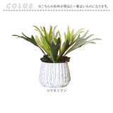 光触媒 人工観葉植物 通販 フェイクグリーン インテリアグリーン イミテーショングリーン インテリアプランツ ポット 陶器 植物 飾る 消臭 抗菌 防カビ おしゃれ 置物 イミテーション