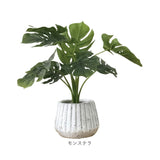 光触媒 人工観葉植物 通販 フェイクグリーン インテリアグリーン イミテーショングリーン インテリアプランツ ポット 陶器 植物 飾る 消臭 抗菌 防カビ おしゃれ 置物 イミテーション