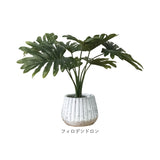光触媒 人工観葉植物 通販 フェイクグリーン インテリアグリーン イミテーショングリーン インテリアプランツ ポット 陶器 植物 飾る 消臭 抗菌 防カビ おしゃれ 置物 イミテーション